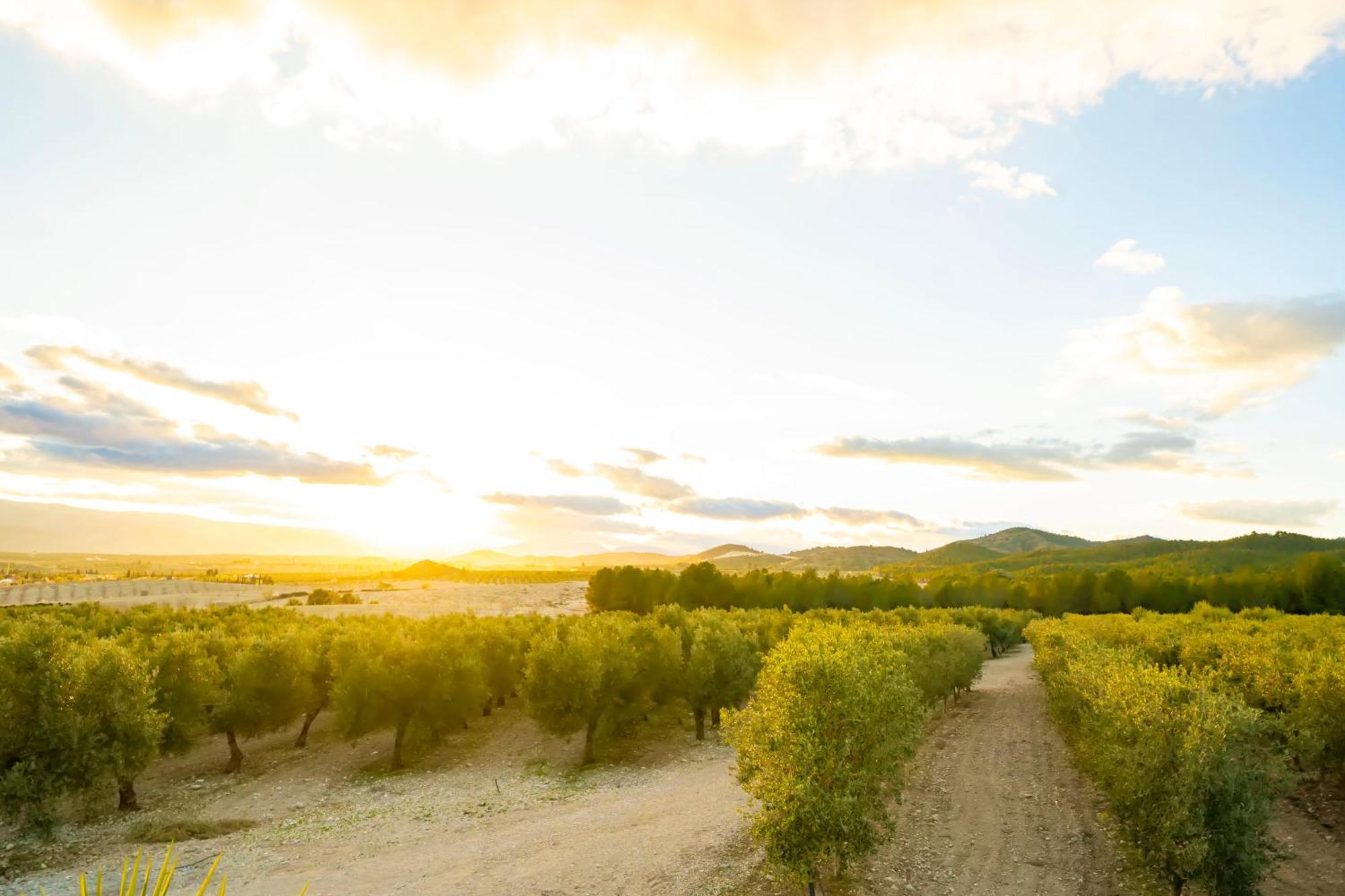 Finca El Espilo Lucar Экстерьер фото