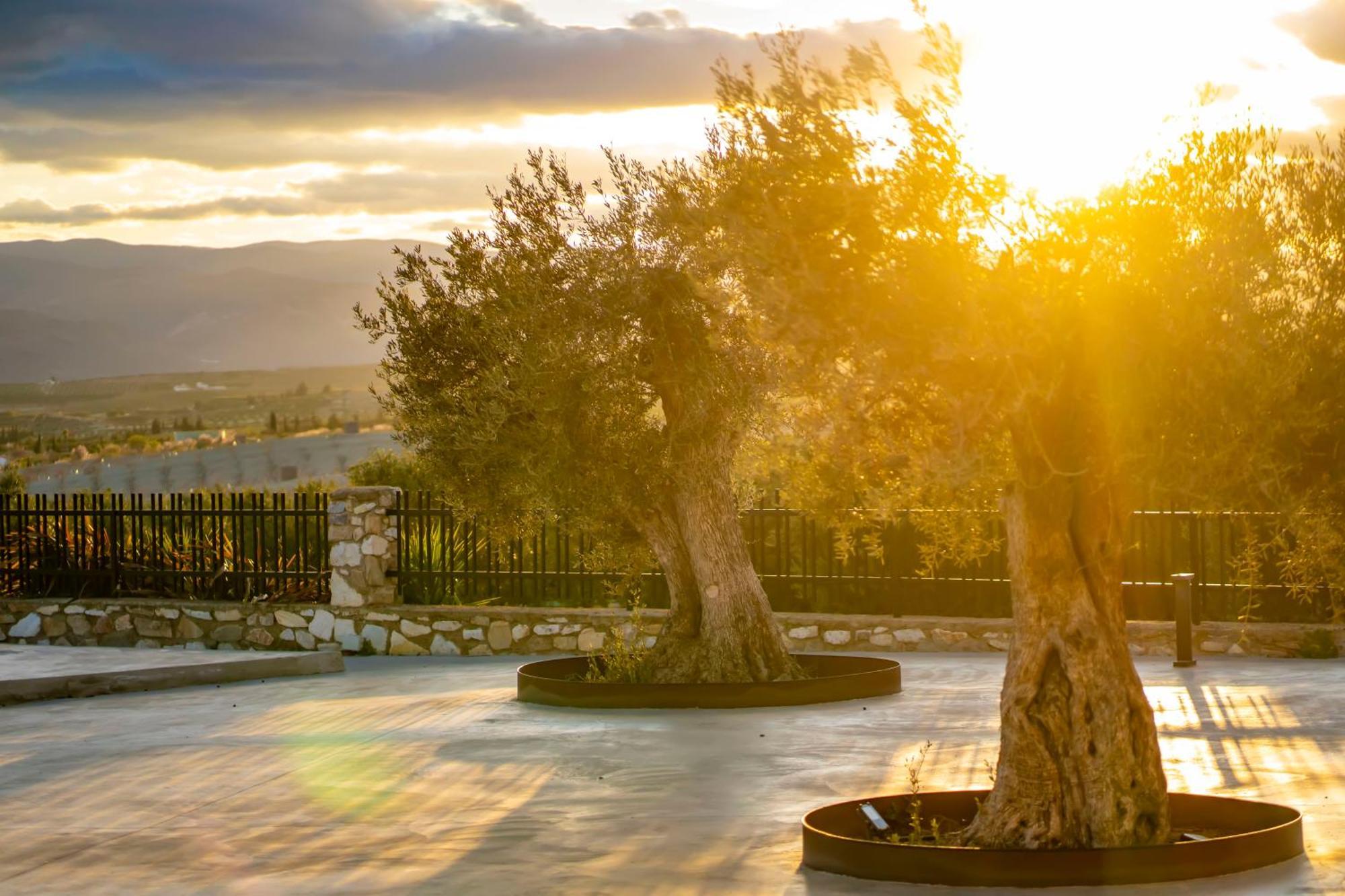 Finca El Espilo Lucar Экстерьер фото