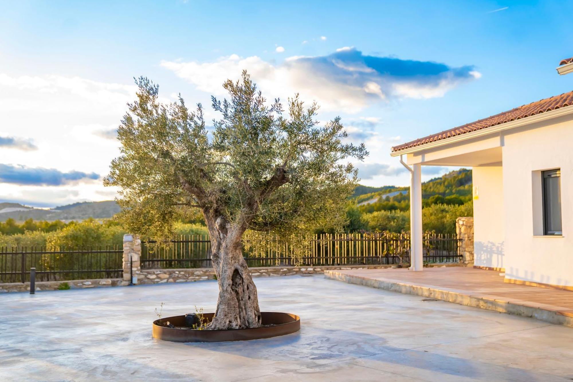 Finca El Espilo Lucar Экстерьер фото