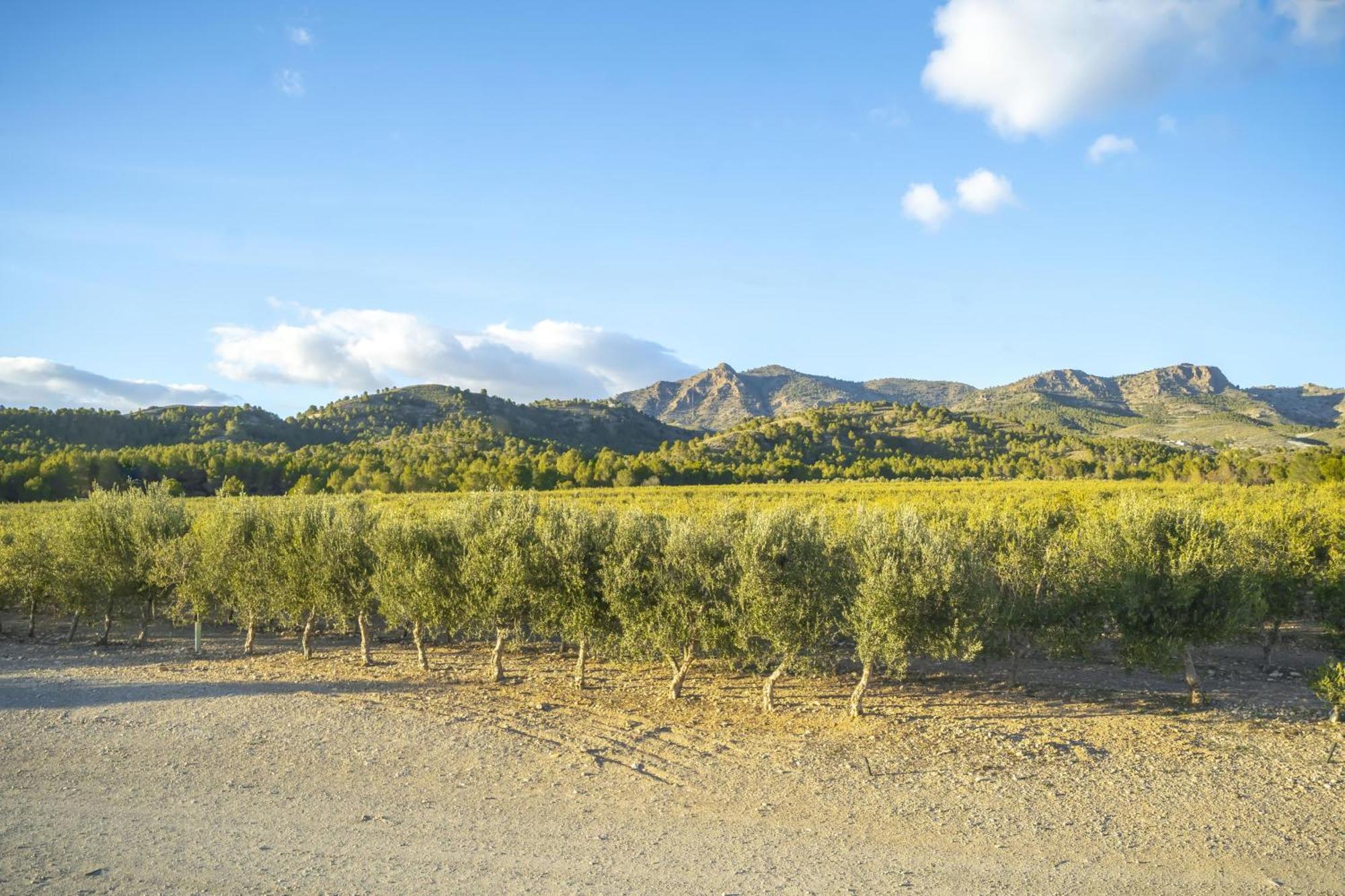 Finca El Espilo Lucar Экстерьер фото